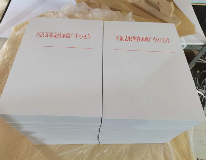 新城镇文头纸